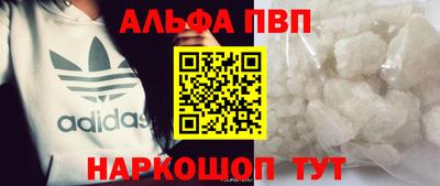 твердый Кингисепп