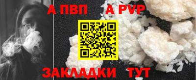твердый Кингисепп