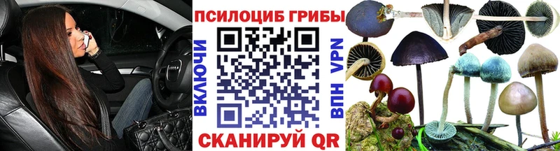 KRAKEN зеркало  Лесосибирск  Галлюциногенные грибы Magic Shrooms 